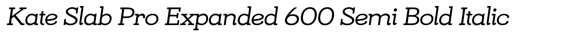 Kate Slab Pro Expanded 600 Semi Bold Italic image